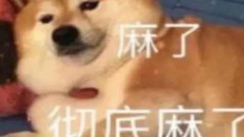 王曼昱新加坡WTT大满贯决赛惜败，国乒混双将战巅峰对决